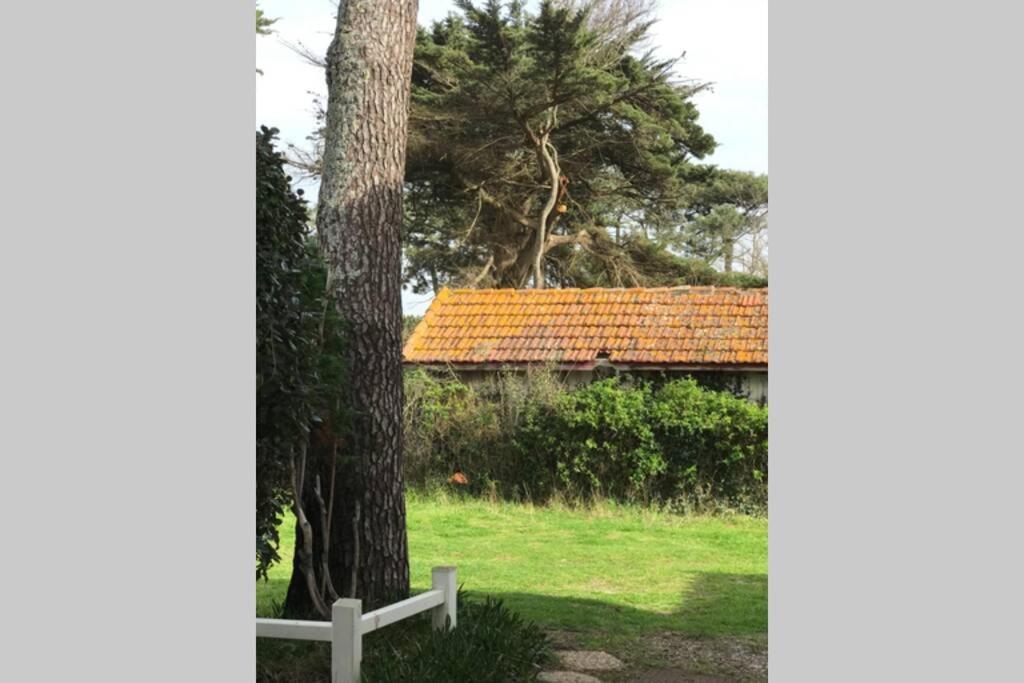 Maison A 300M De La Plage, Quartier Calme Mimizan-Plage Exteriör bild