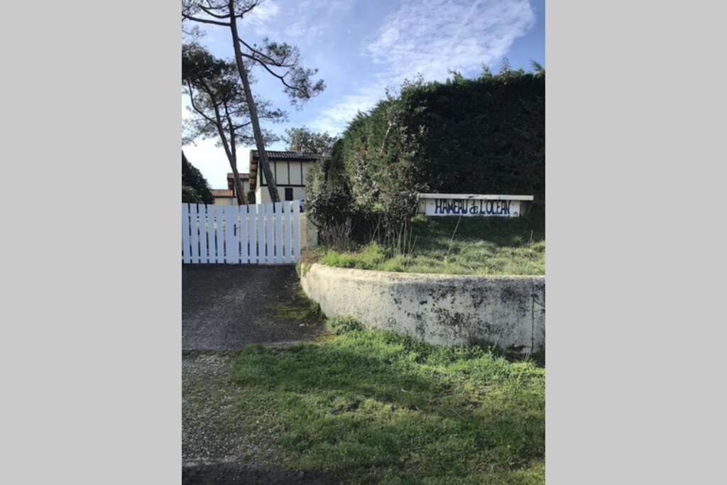 Maison A 300M De La Plage, Quartier Calme Mimizan-Plage Exteriör bild
